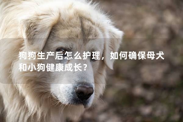 狗狗生产后怎么护理，如何确保母犬和小狗健康成长？