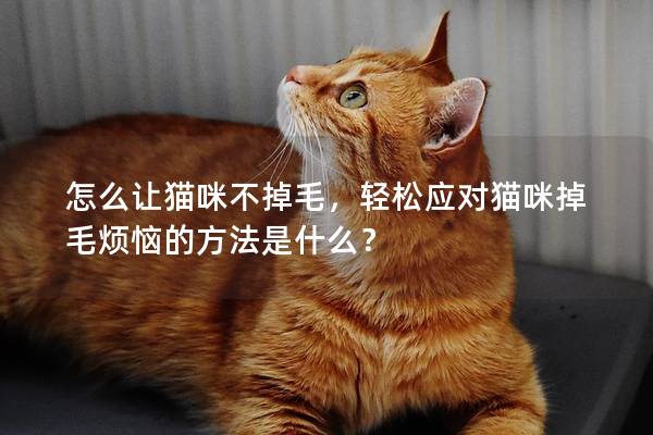 怎么让猫咪不掉毛，轻松应对猫咪掉毛烦恼的方法是什么？