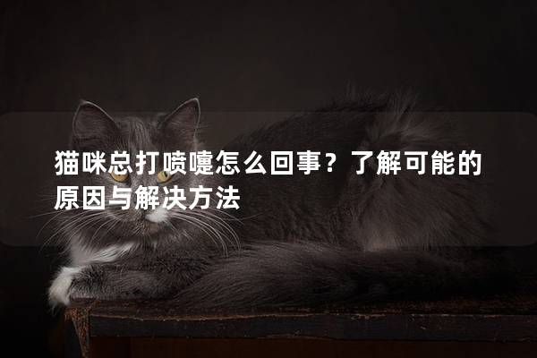 猫咪总打喷嚏怎么回事？了解可能的原因与解决方法