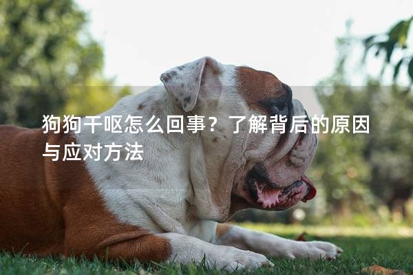 狗狗干呕怎么回事?了解背后的原因与应对方法 狗狗干呕怎么回事?了解背后的原因与应对方法