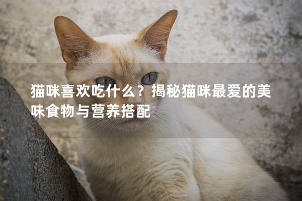 猫咪喜欢吃什么？揭秘猫咪最爱的美味食物与营养搭配