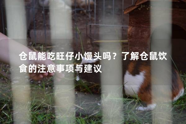 仓鼠能吃旺仔小馒头吗?了解仓鼠饮食的注意事项与建议 仓鼠能吃旺仔小馒头吗?了解仓鼠饮食的注意事项与建议