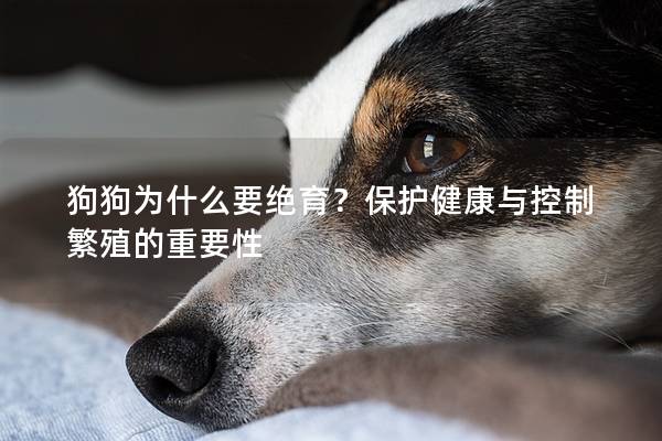 狗狗为什么要绝育？保护健康与控制繁殖的重要性