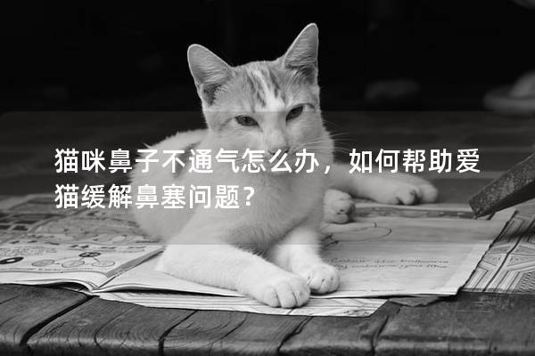 猫咪鼻子不通气怎么办，如何帮助爱猫缓解鼻塞问题？