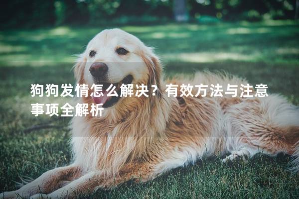 狗狗发情怎么解决？有效方法与注意事项全解析