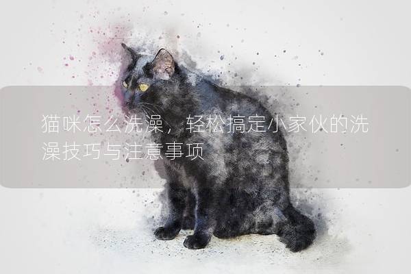 猫咪怎么洗澡，轻松搞定小家伙的洗澡技巧与注意事项