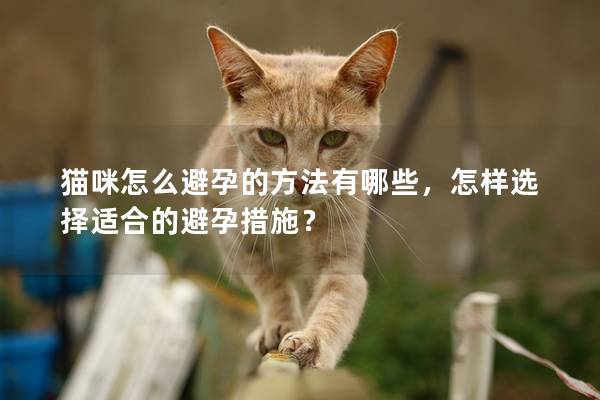 猫咪怎么避孕的方法有哪些，怎样选择适合的避孕措施？