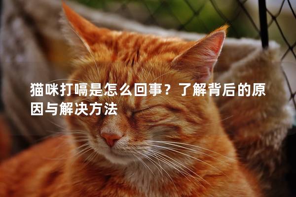 猫咪打嗝是怎么回事？了解背后的原因与解决方法