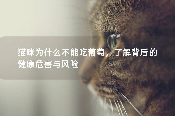 猫咪为什么不能吃葡萄，了解背后的健康危害与风险