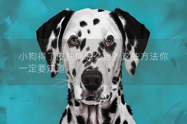 小狗得了皮肤病怎么治？这些方法你一定要知道