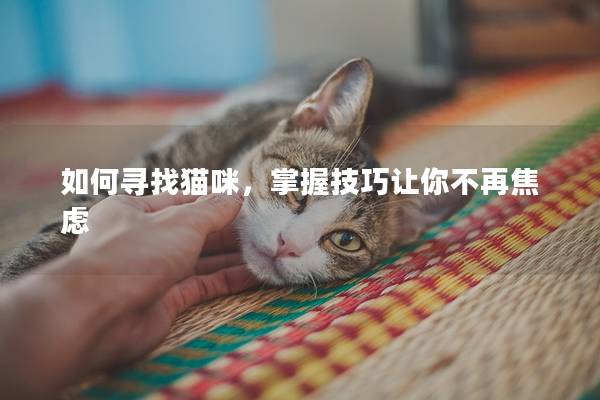 如何寻找猫咪，掌握技巧让你不再焦虑