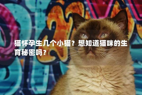 猫怀孕生几个小猫？想知道猫咪的生育秘密吗？