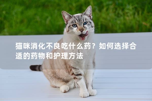 猫咪消化不良吃什么药？如何选择合适的药物和护理方法