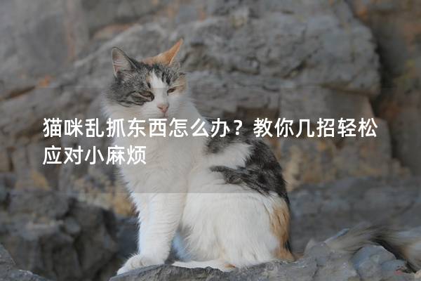 猫咪乱抓东西怎么办？教你几招轻松应对小麻烦