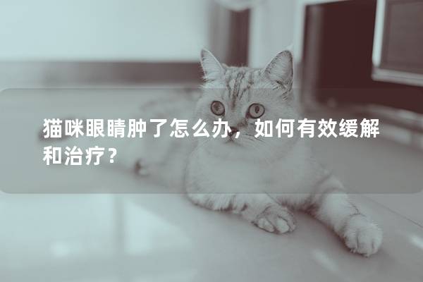 猫咪眼睛肿了怎么办，如何有效缓解和治疗？