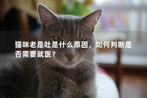 猫咪老是吐是什么原因，如何判断是否需要就医？