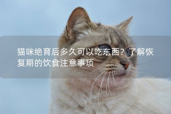 猫咪绝育后多久可以吃东西？了解恢复期的饮食注意事项