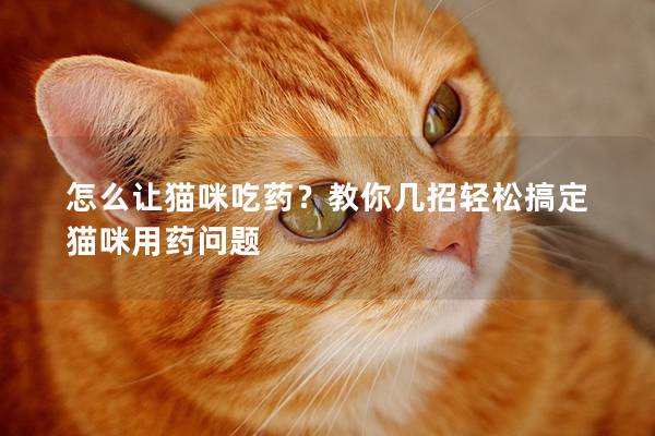 怎么让猫咪吃药？教你几招轻松搞定猫咪用药问题