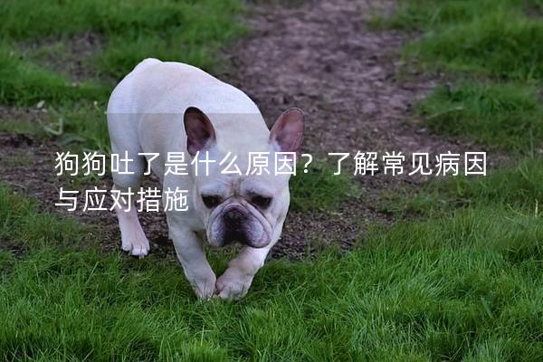 狗狗吐了是什么原因？了解常见病因与应对措施