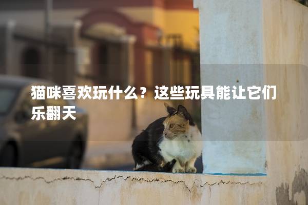 猫咪喜欢玩什么？这些玩具能让它们乐翻天