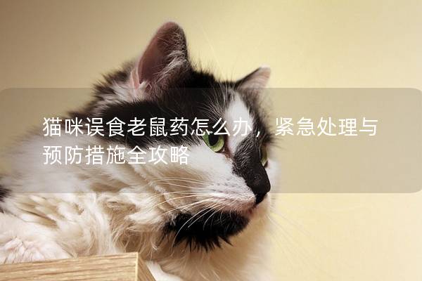 猫咪误食老鼠药怎么办，紧急处理与预防措施全攻略