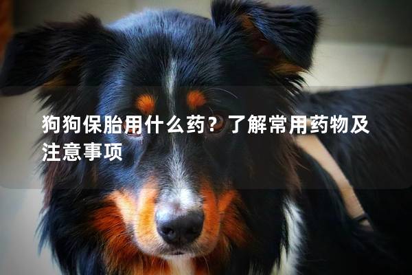 狗狗保胎用什么药？了解常用药物及注意事项