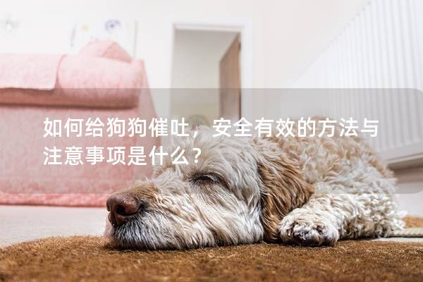 如何给狗狗催吐，安全有效的方法与注意事项是什么？