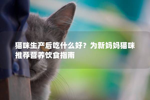 猫咪生产后吃什么好？为新妈妈猫咪推荐营养饮食指南