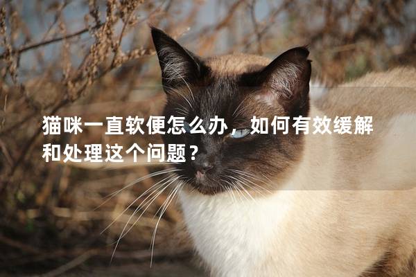 猫咪一直软便怎么办，如何有效缓解和处理这个问题？