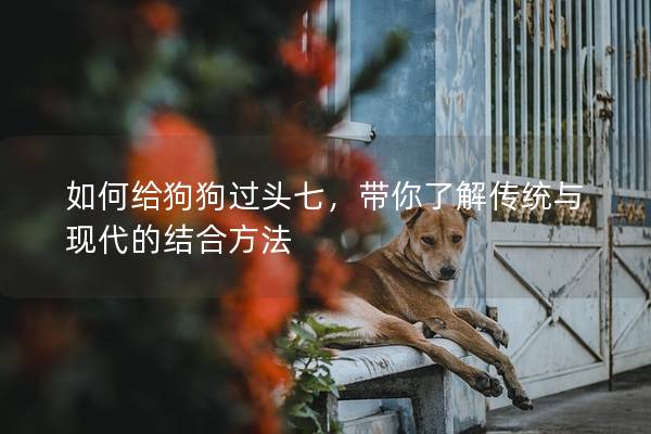 如何给狗狗过头七，带你了解传统与现代的结合方法