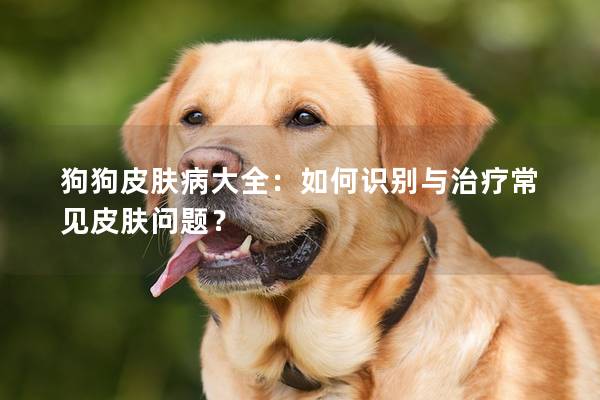 狗狗皮肤病大全：如何识别与治疗常见皮肤问题？