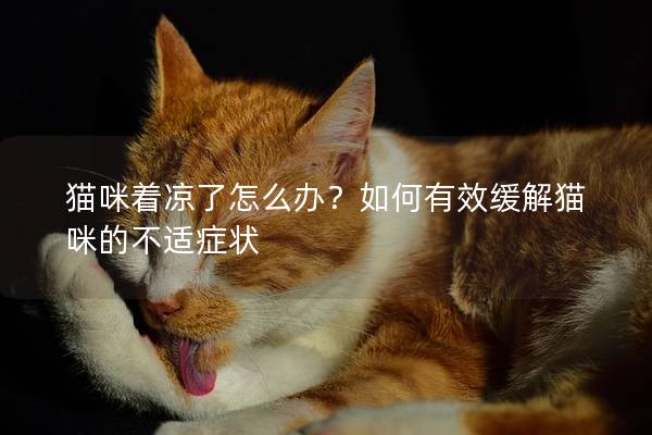 猫咪着凉了怎么办？如何有效缓解猫咪的不适症状