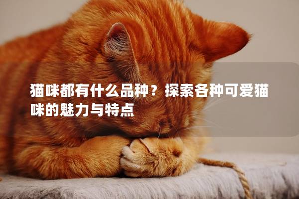 猫咪都有什么品种？探索各种可爱猫咪的魅力与特点