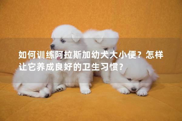 如何训练阿拉斯加幼犬大小便？怎样让它养成良好的卫生习惯？