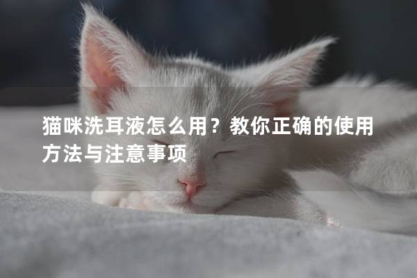 猫咪洗耳液怎么用？教你正确的使用方法与注意事项