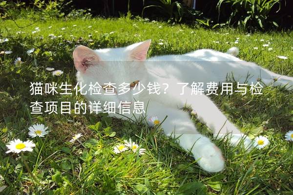 猫咪生化检查多少钱？了解费用与检查项目的详细信息