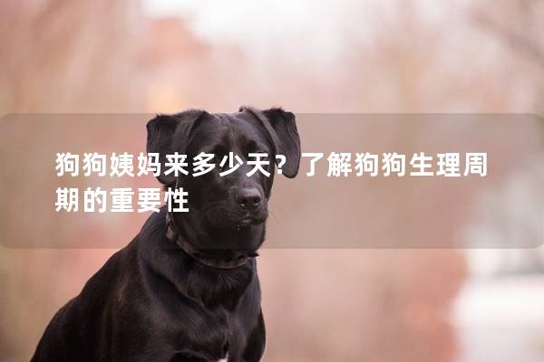 狗狗姨妈来多少天？了解狗狗生理周期的重要性