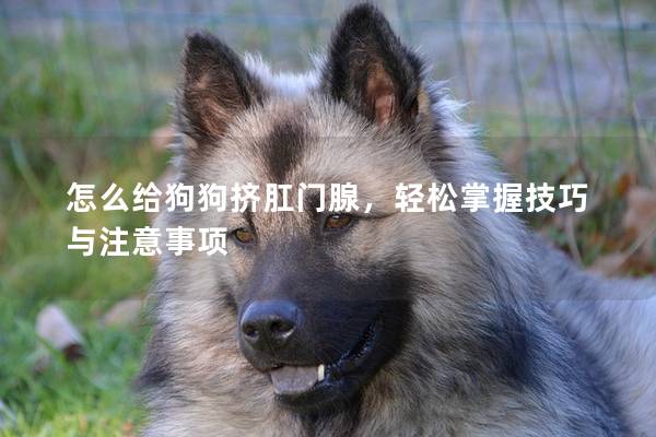 怎么给狗狗挤肛门腺，轻松掌握技巧与注意事项