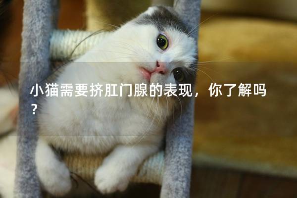 小猫需要挤肛门腺的表现，你了解吗？