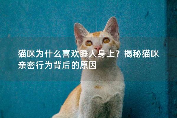 猫咪为什么喜欢睡人身上？揭秘猫咪亲密行为背后的原因