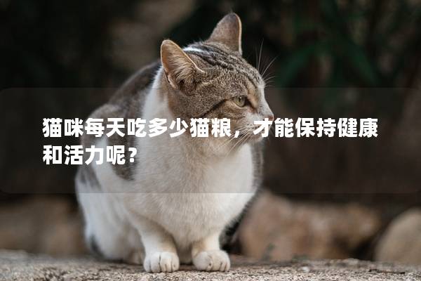 猫咪每天吃多少猫粮，才能保持健康和活力呢？