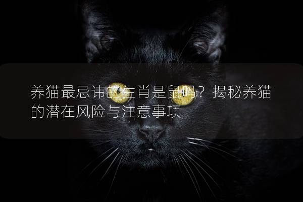 养猫最忌讳的生肖是鼠吗？揭秘养猫的潜在风险与注意事项