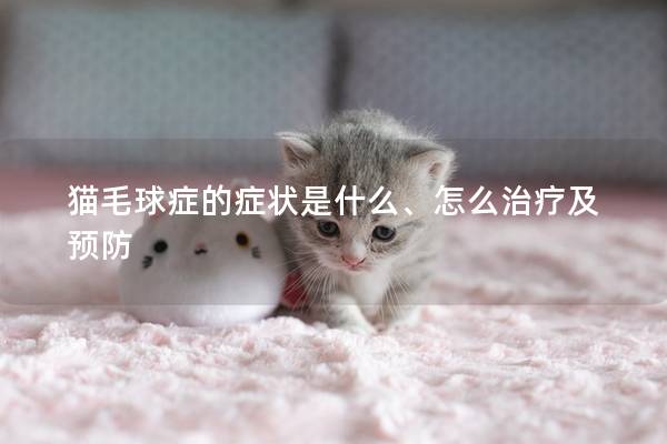 猫毛球症的症状是什么、怎么治疗及预防