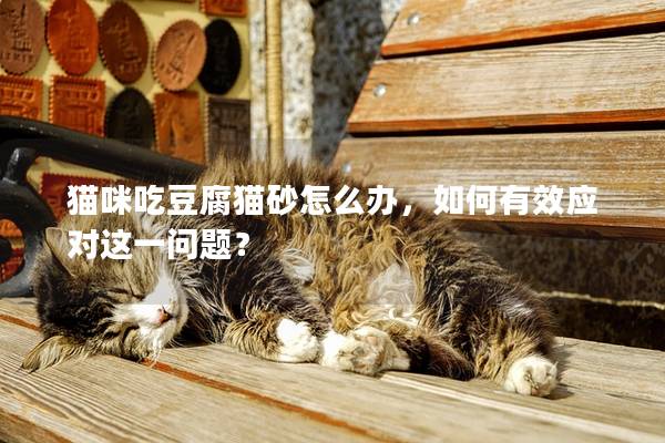 猫咪吃豆腐猫砂怎么办，如何有效应对这一问题？