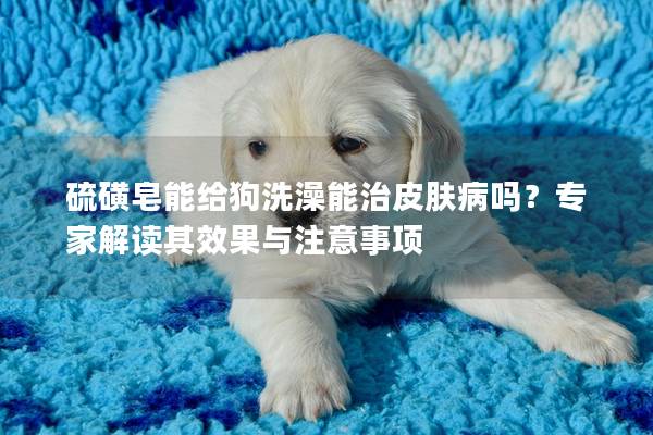 硫磺皂能给狗洗澡能治皮肤病吗？专家解读其效果与注意事项