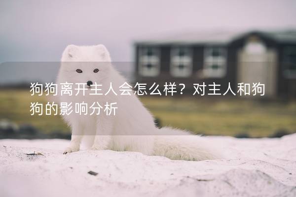 狗狗离开主人会怎么样？对主人和狗狗的影响分析