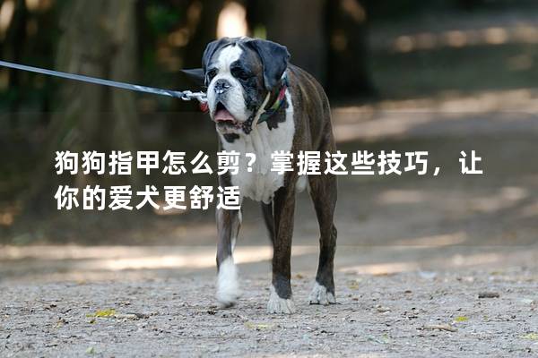 狗狗指甲怎么剪？掌握这些技巧，让你的爱犬更舒适