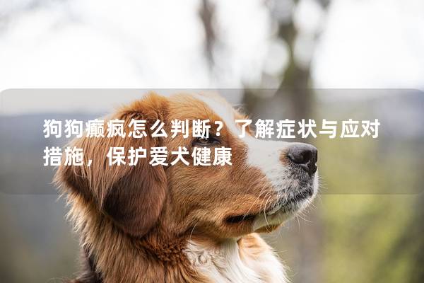 狗狗癫疯怎么判断？了解症状与应对措施，保护爱犬健康