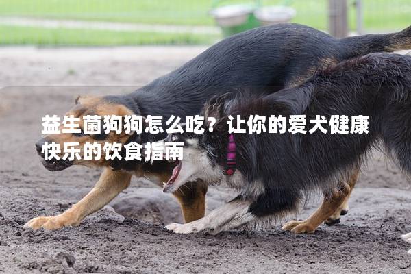 益生菌狗狗怎么吃？让你的爱犬健康快乐的饮食指南