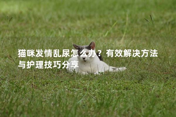 猫咪发情乱尿怎么办？有效解决方法与护理技巧分享